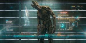 Groot in Guardians Of The Galaxy