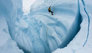 Film is centered around environmental photographer James Bal