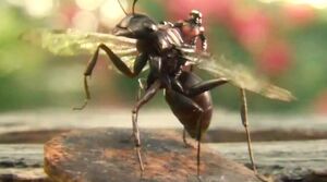 Ant-Man on Ant man!