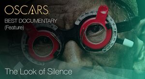 Documentary (Feature), The Look of Silence
