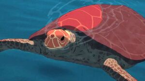 The Red Turtle Close-Up