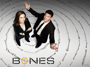 Poster for Bones