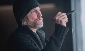Woody Harrelson as Haymitch
