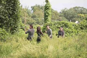 Rick and co. in new image from the season 7B premiere