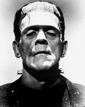 Boris Karloff is Frankenstein's Monster