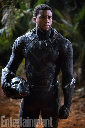 T'Challa, the king of the fictional African nation of Wakanda