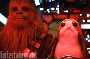 Chewbacca and the porgs

These puffin-like creatures from th