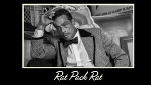 Rat Pack Rat