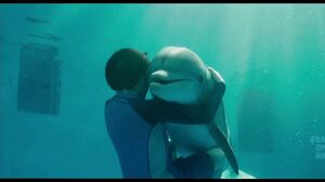 No dolphin has ever been known to lose its entire tail and survive. Dolphin Tale