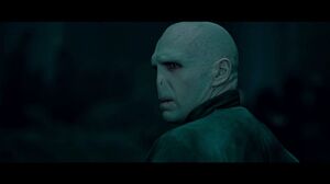 Destroy Voldemort Once and For All