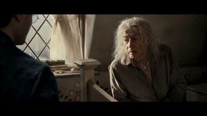 Harry and Mr. Ollivander talk about the Deathly Hallows: the Elder Wand, the Cloak of Invisibility and the Resurrection Stone