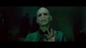 Harry Potter and Lord Voldemort, the final confrontation