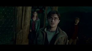 Harry Potter, confront your fate