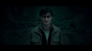Harry Potter and the Deathly Hallows Part 2 cast talks about the final story