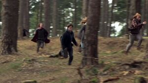 Running in the Forest of Harry Potter 7