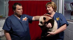 Jack Black comes face to face with a real panda