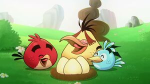 Rio and the Angry Birds
