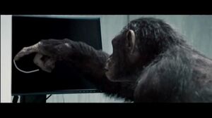 Don't ever let them catch you. Rise of the Planet of the Apes