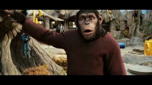 Will has to say goodbye to Caesar. Rise of the Planet of the Apes