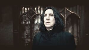 The Severus Snape Story