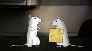 HBO Gives 2-Season Order to ‘Animals’ Animated Comedy fr