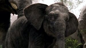 Russian trailer for 'The Jungle Book' shows new footage