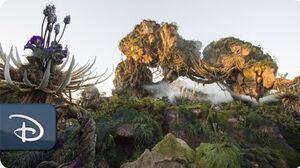 disneyparkslive: Pandora – The World of Avatar Dedication 