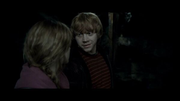 Hermione and Ron go into the Chamber of Secrets to destroy Helga ...